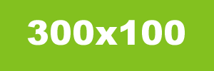 Demo rectangle 300×100
